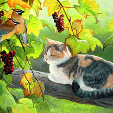 Схема вышивки «кот»