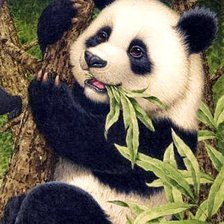 Панда