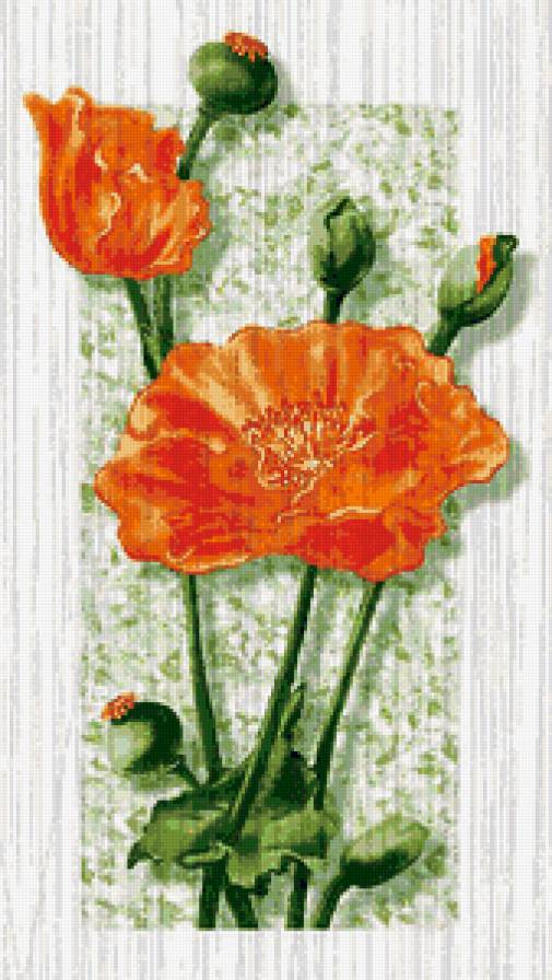 пано маки - пано, цветы - предпросмотр