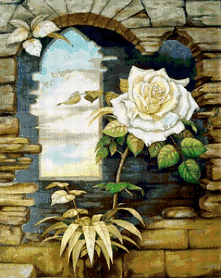 пано с розой - пейзаж, пано, розы, цветы - предпросмотр