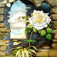 пано с розой