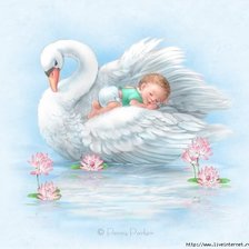 Схема вышивки «2423»