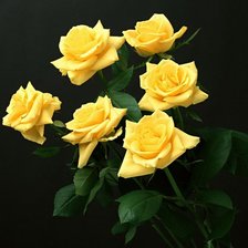 Схема вышивки «№676590»