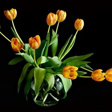 Схема вышивки «№676593»