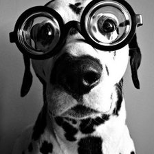 Схема вышивки «сабака»