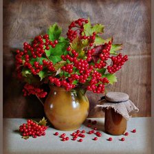 Схема вышивки «Калина красная»