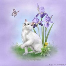 Схема вышивки «2434»