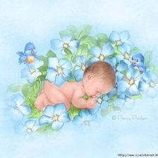 Схема вышивки «2435»