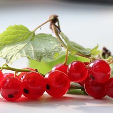 Схема вышивки «смородина»