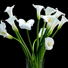 Схема вышивки «№677004»