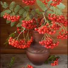 Схема вышивки «№677133»