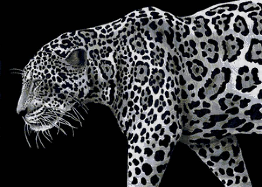 №677141 - леопард, хищники, кошки - предпросмотр