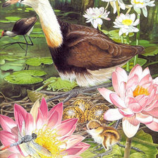 Схема вышивки «№677167»