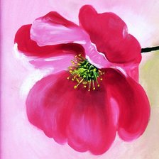 Схема вышивки «диптих мак-1»