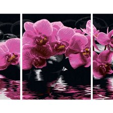 Схема вышивки «орхідея»