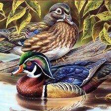 Схема вышивки «№677486»