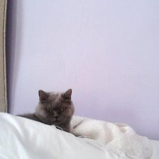 Схема вышивки «Nusya»