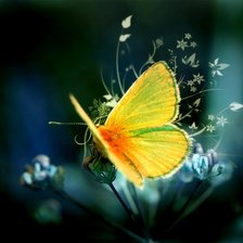 Схема вышивки «бабочка»