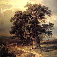 Схема вышивки «Дубы»