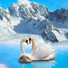 Схема вышивки «Лебеди»