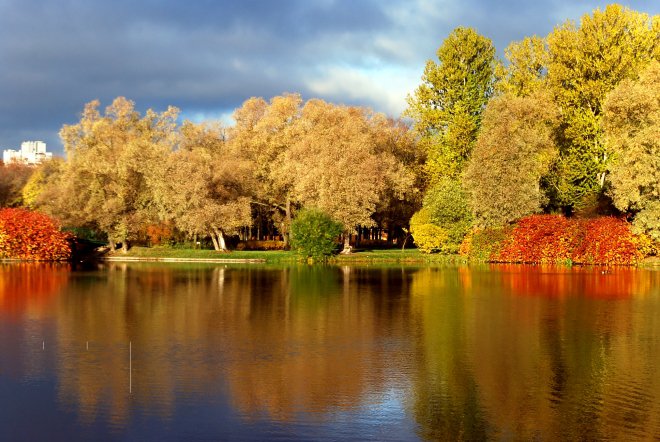 Осень в Финляндии - деревья, финляндия, осень, озеро, пейзаж, природа - оригинал