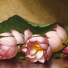 Схема вышивки «лотос»