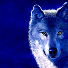 Схема вышивки «волк в ночи»