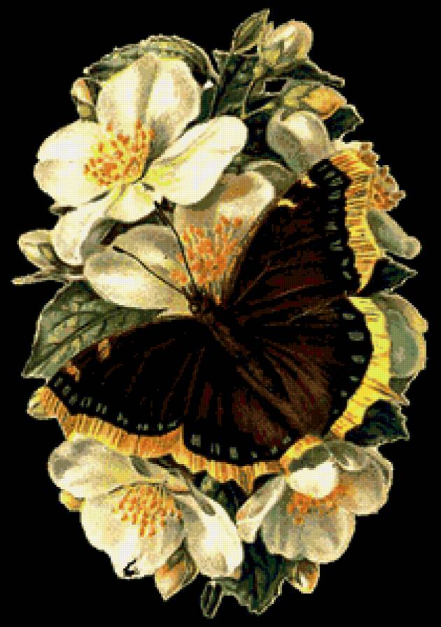 цветы и бабочки - бабочки, пано, цветы - предпросмотр