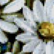 Предпросмотр схемы вышивки «Ромашки,незабудки» (№677930)