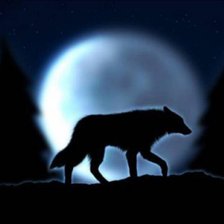 Схема вышивки «одинокий волк»