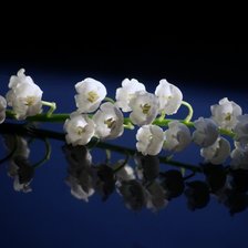 Схема вышивки «ландыши»