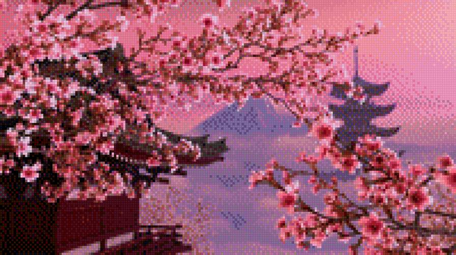 сакура - сакура, япония - предпросмотр