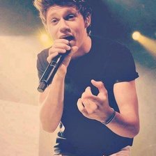 Схема вышивки «хоран»