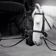 Схема вышивки «любовь»