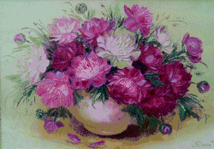 пионы - предпросмотр