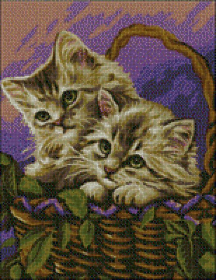 котята - предпросмотр