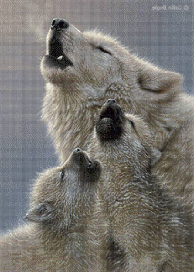 пение - предпросмотр