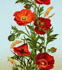 Схема вышивки «№679120»