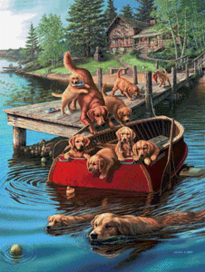 2442 - предпросмотр