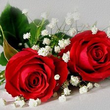 Схема вышивки «№679179»