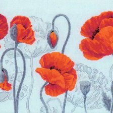 алые маки мои