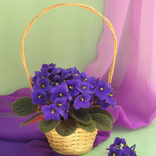 Схема вышивки «№679326»