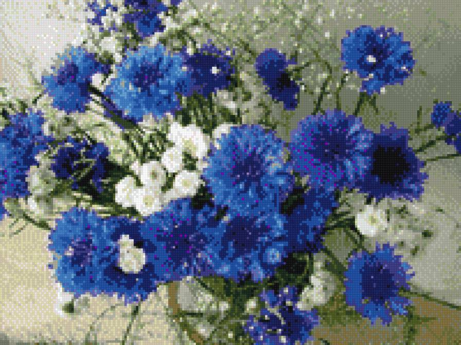 Васильки - предпросмотр