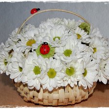 Схема вышивки «ромашки»