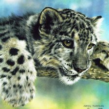 Схема вышивки «пушистый пятнистый»