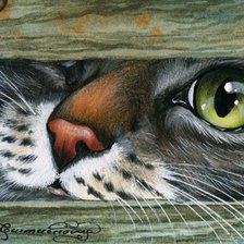 Схема вышивки «Котик»