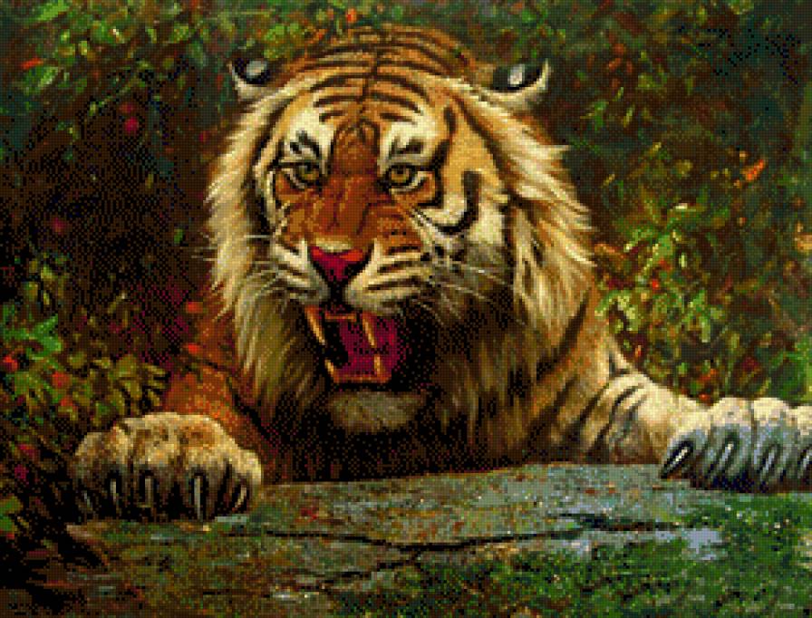 Tygrys - tygrysy - предпросмотр