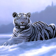 Схема вышивки «Tygrys»