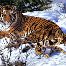 Схема вышивки «Tygrysy»