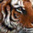Предпросмотр схемы вышивки «Tygrys» (№679866)